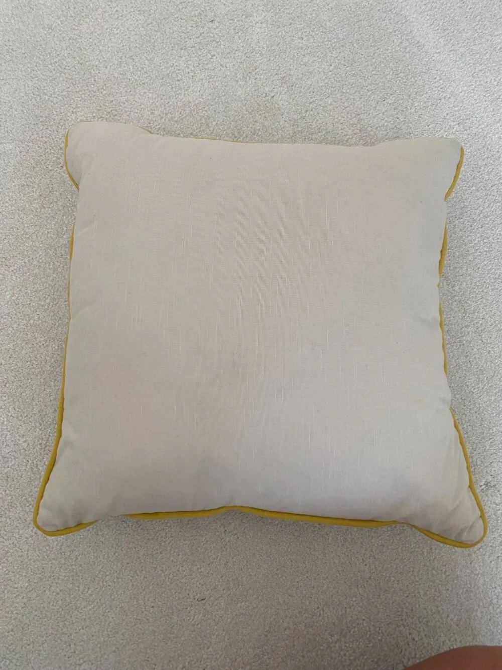 Decorative Throw Pillow